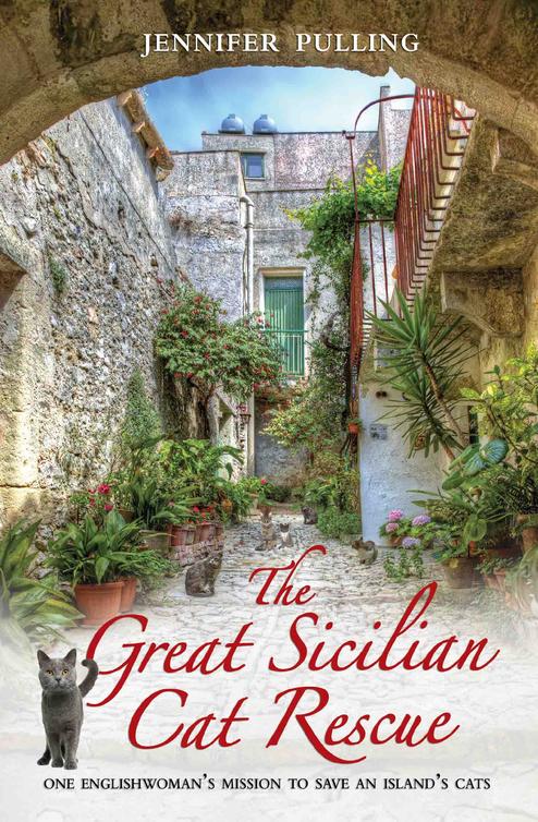 The Great Sicilian Cat Rescue One Englishwomans Mission To Save An Islands Cats Pulling Jennifer