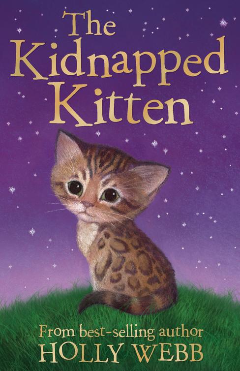 The Kidnapped Kitten Webb Holly