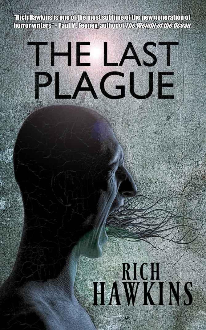 The Last Plague Hawkins Rich