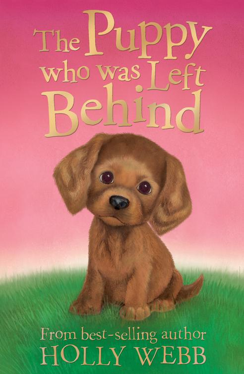 The Puppy Who Was Left Behind Webb Holly