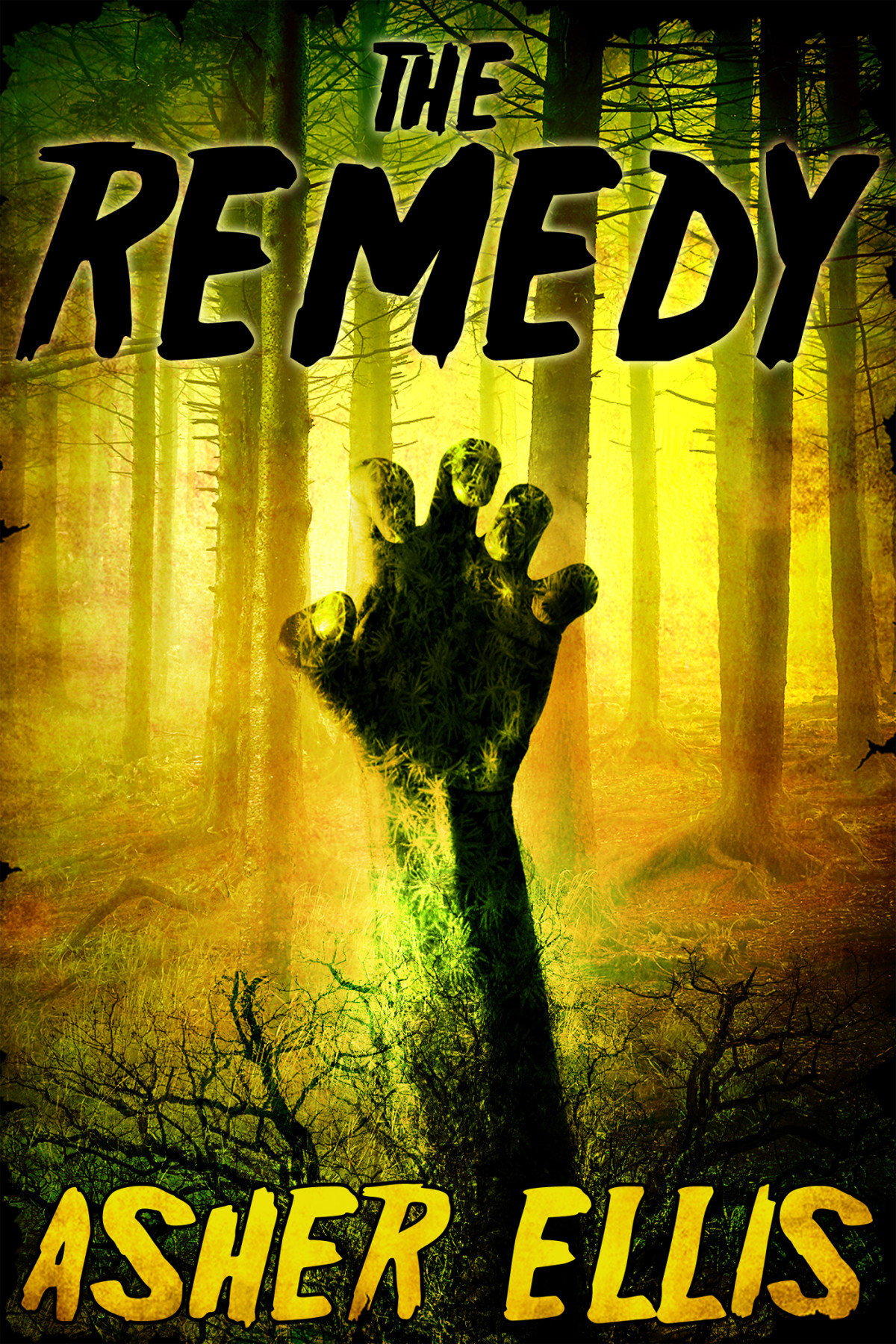 The Remedy Ellis Asher