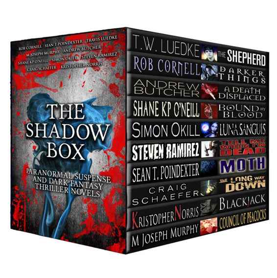 The Shadow Box Paranormal Suspense And Dark Fantasy Thriller Novels Luedke Travis Cornell Rob Butcher Andrew Poindexter Sean