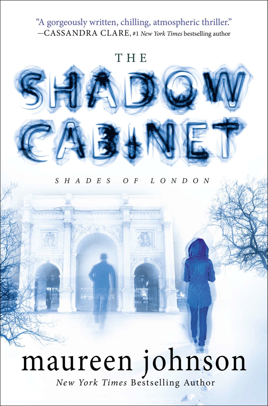 The Shadow Cabinet Johnson Maureen