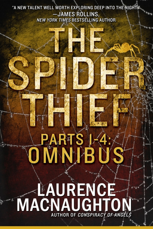 The Spider Thief Stolen Memory Haunted Dreams Cold Million Ghost City Macnaughton Laurence