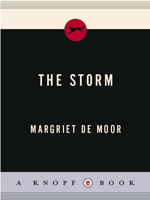 The Storm Moor Margriet De