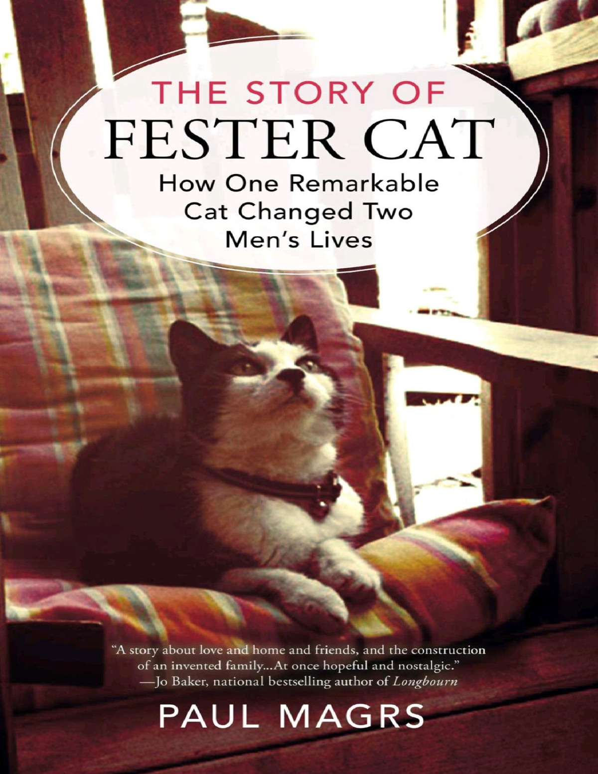 The Story Of Fester Cat How One Remarkable Cat Changed Two Mens Lives Magrs Paul