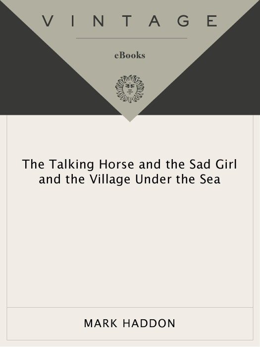 The Talking Horse And The Sad Girl And The Village Under The Sea Poems Haddon Mark