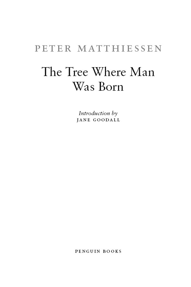 The Tree Where Man Was Born Peter Matthiessen