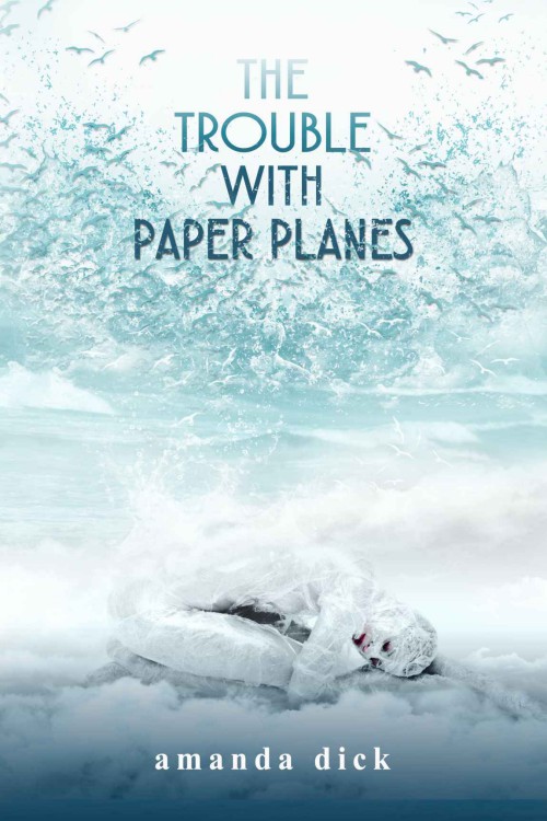 The Trouble With Paper Planes Dick Amanda