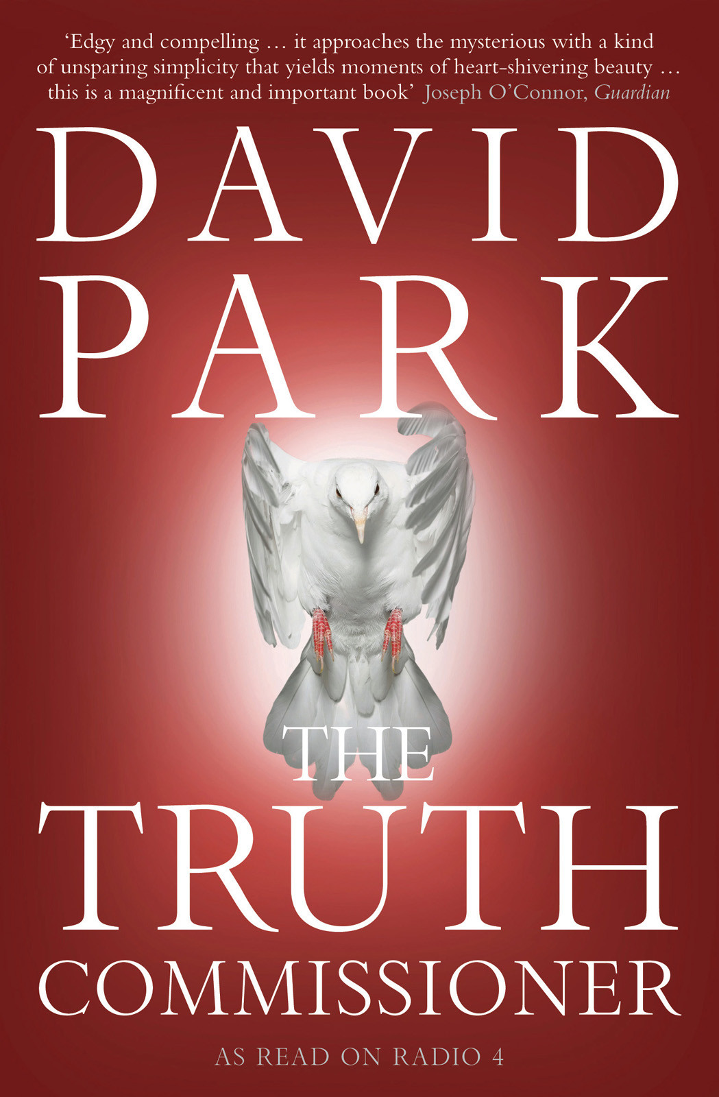The Truth Commissioner David Park