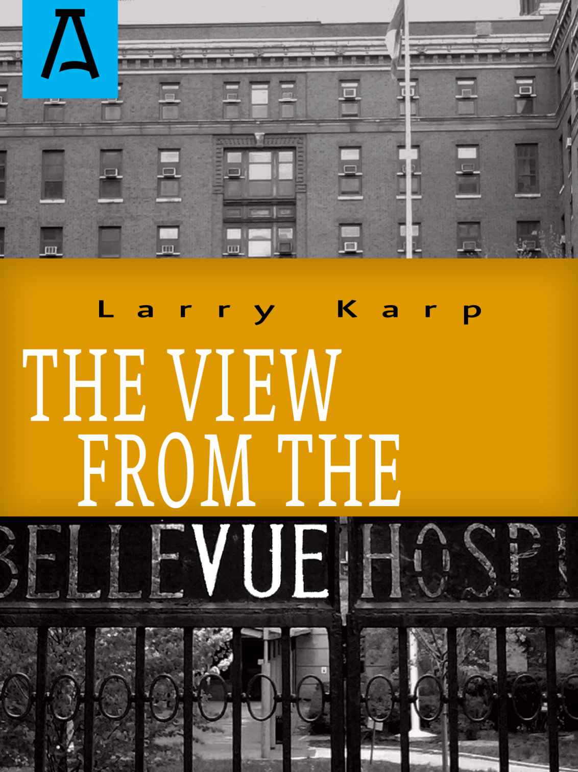 The View From The Vue Karp Larry