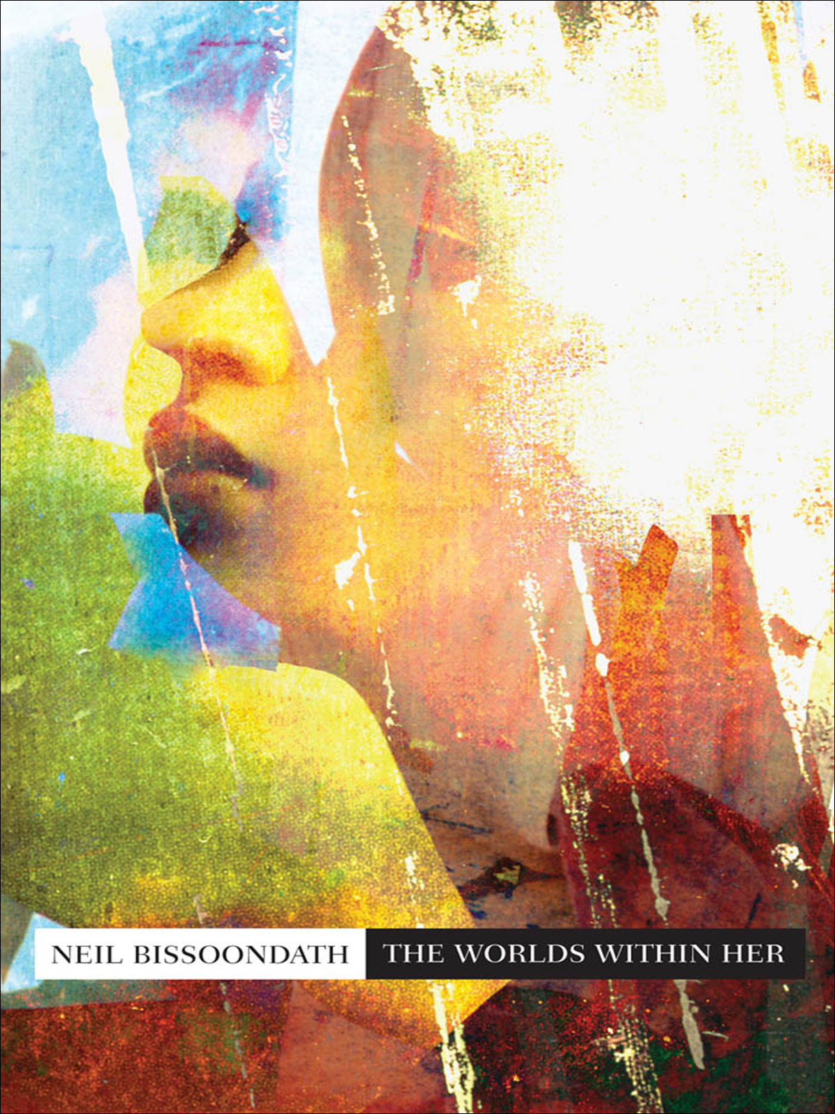 The Worlds Within Her Bissoondath Neil