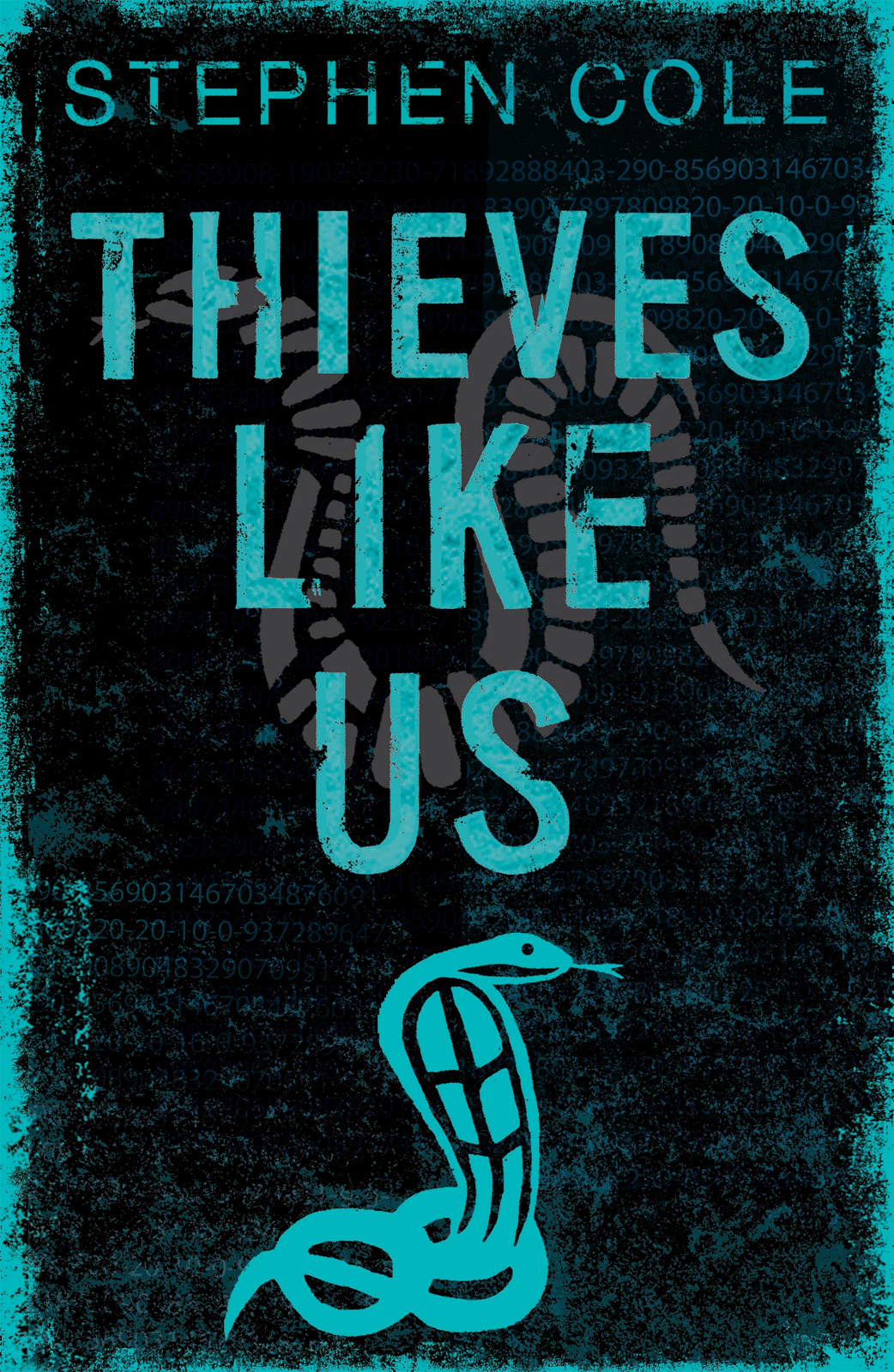 Thieves Like Us Cole Stephen