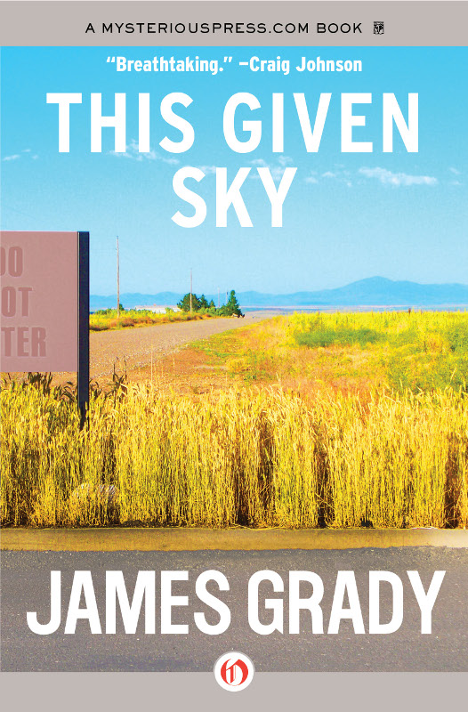 This Given Sky Grady James