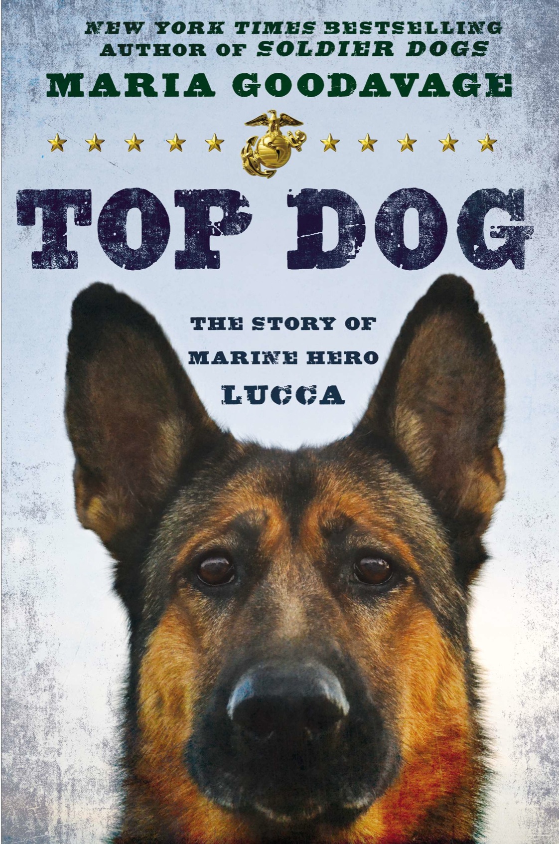 Top Dog The Story Of Marine Hero Lucca Maria Goodavage