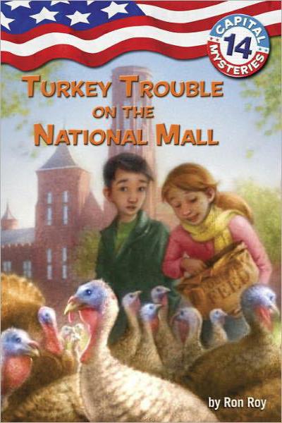 Turkey Trouble On The National Mall Roy Ron
