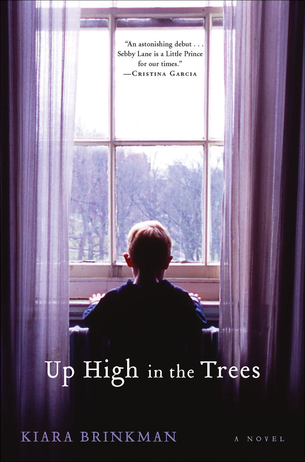 Up High In The Trees Brinkman Kiara