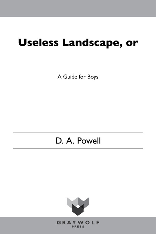 Useless Landscape Or A Guide For Boys Poems Powell D A