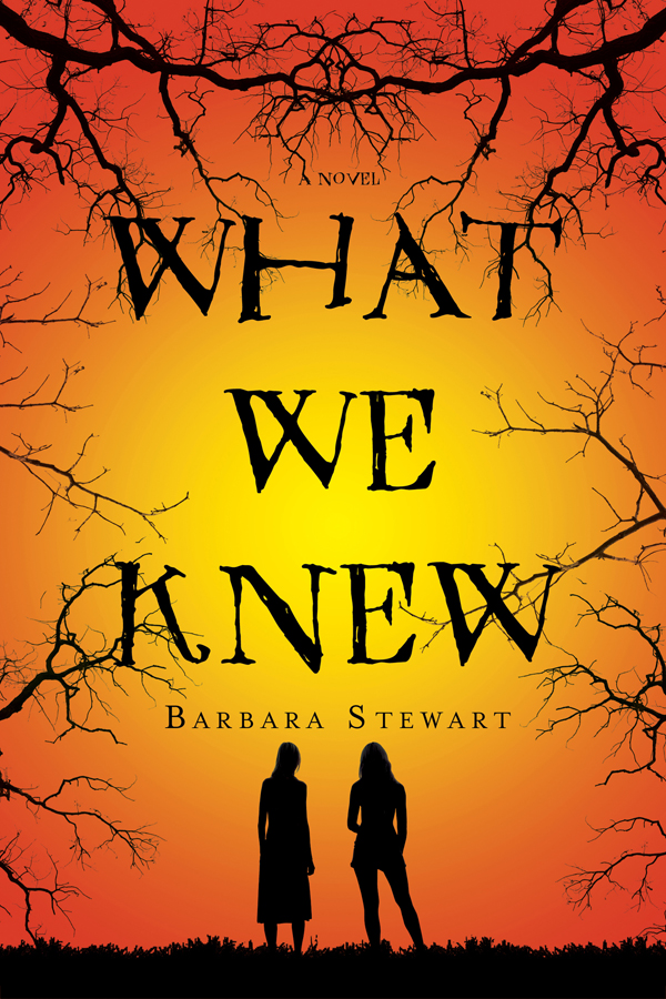 What We Knew Stewart Barbara