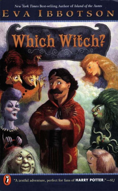Which Witch Ibbotson Eva