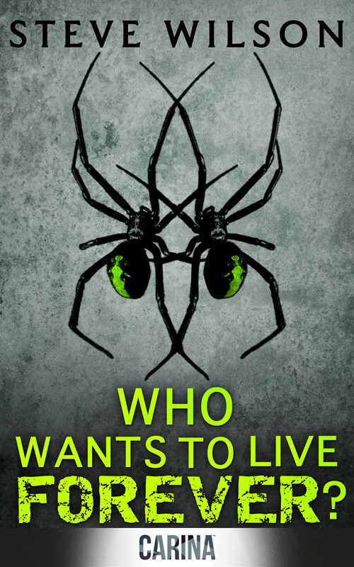 Who Wants To Live Forever Wilson Steve