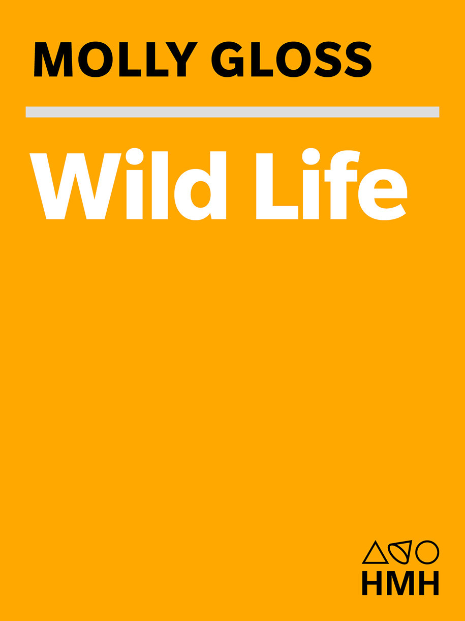 Wild Life Gloss Molly
