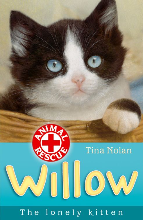 Willow The Lonely Kitten Nolan Tina
