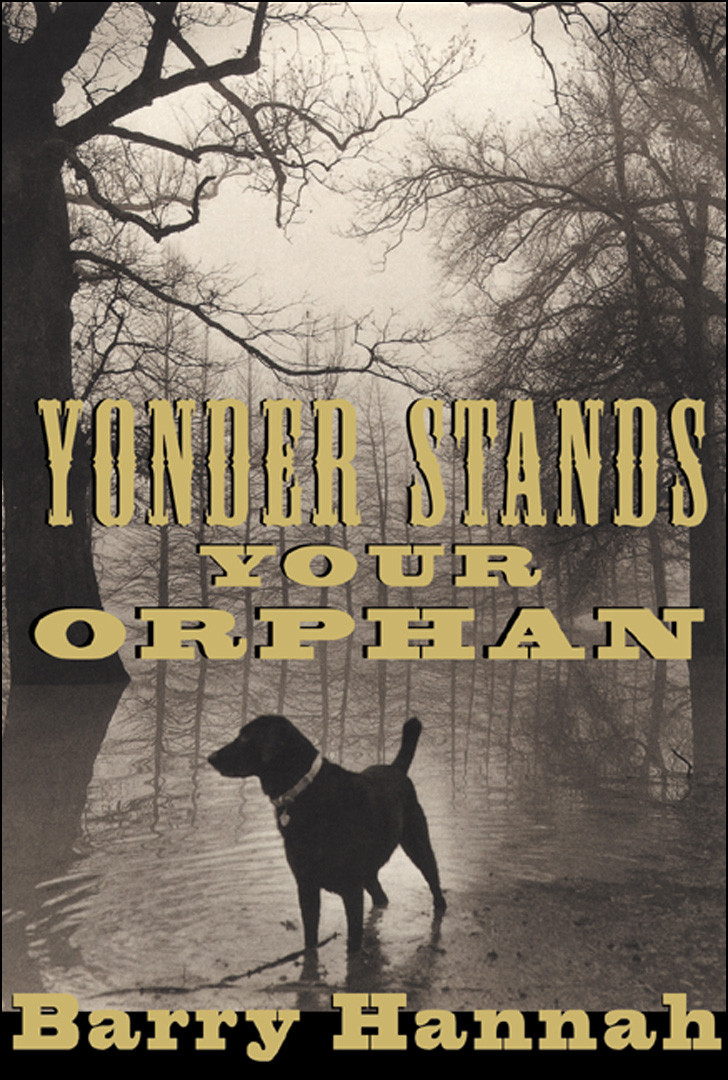 Yonder Stands Your Orphan Hannah Barry