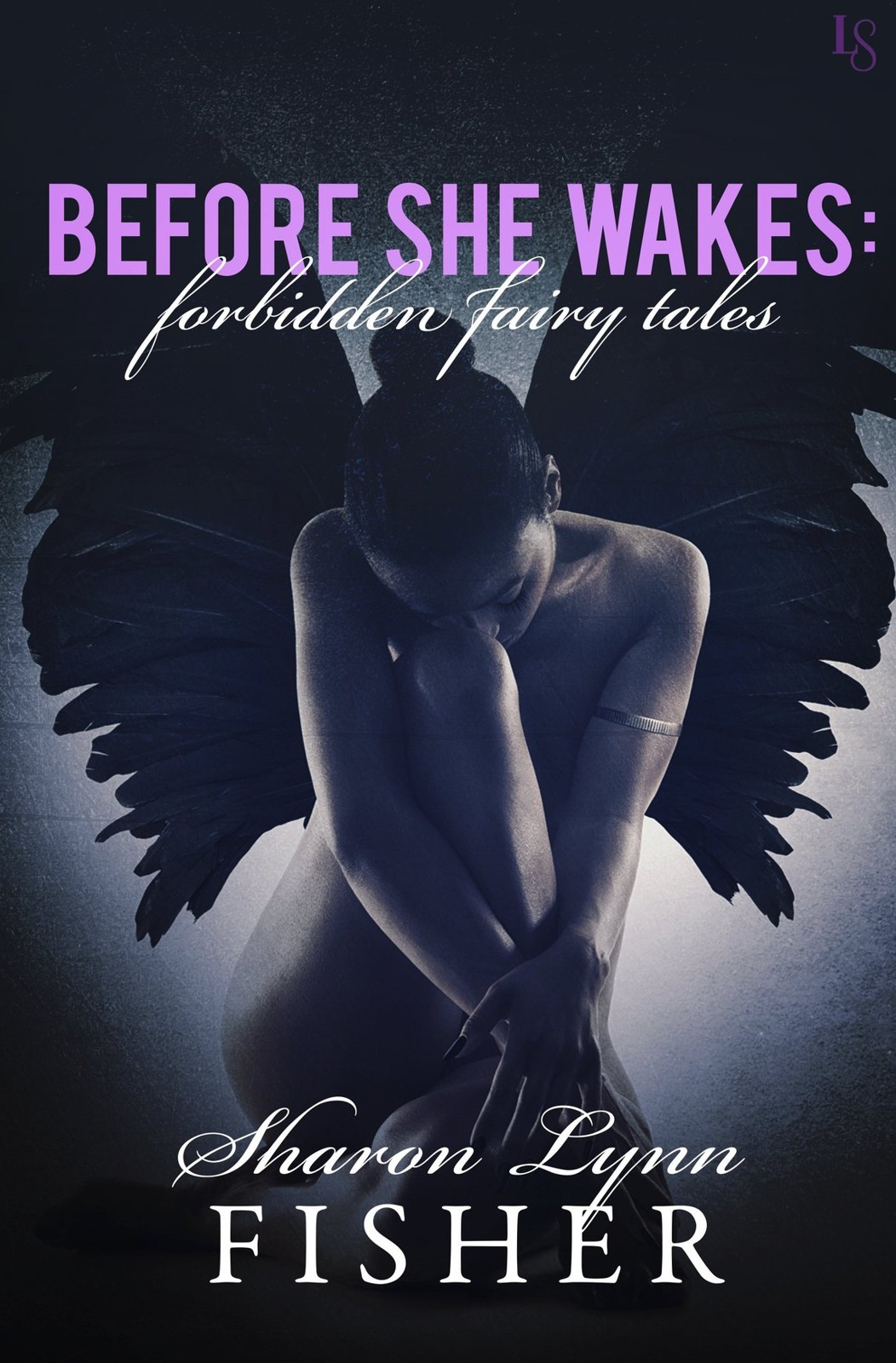 Before She Wakes Forbidden Fairy Tales 1st Edition Fisher Sharon Lynn