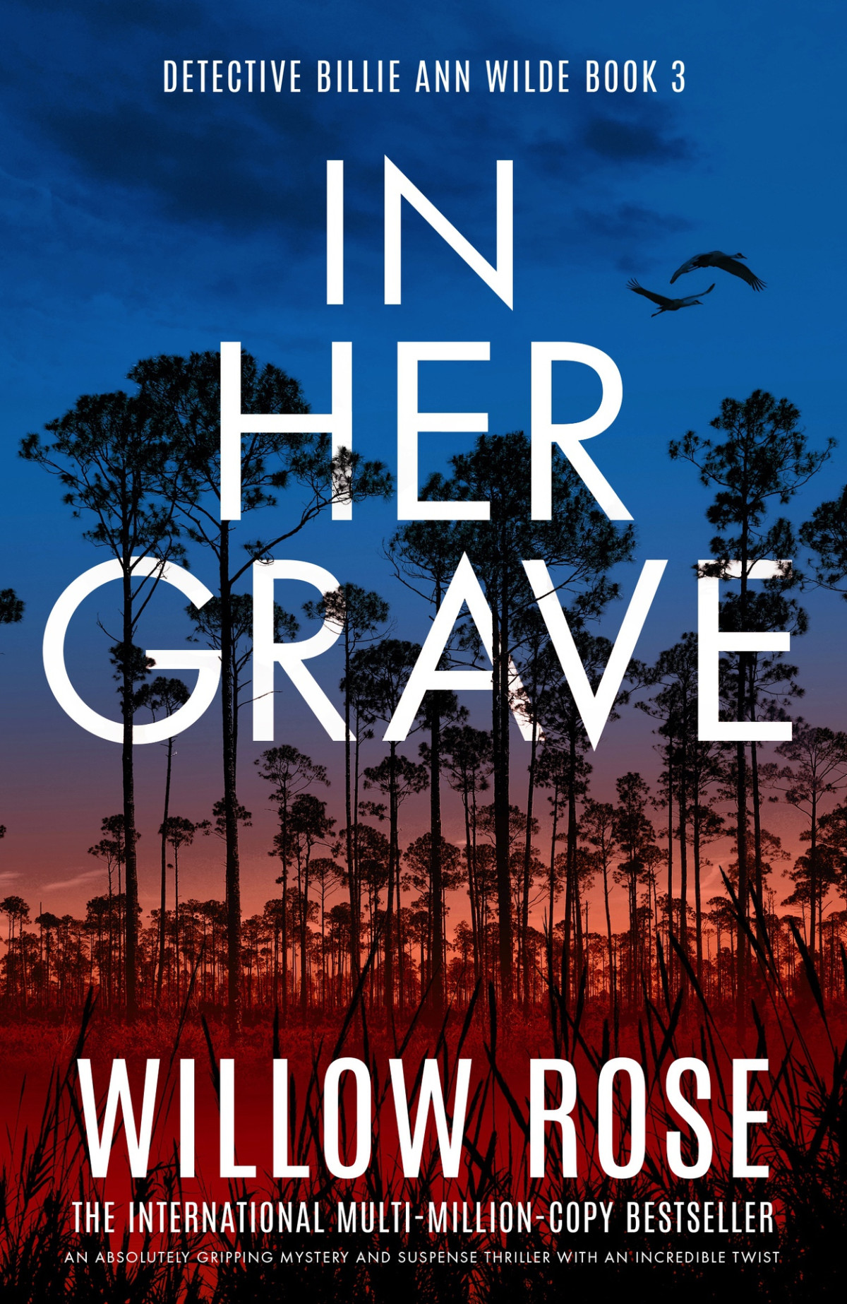 In Her Grave An Absolutely Gripping Mystery And Suspense Thriller With An Incredible Twist Willow Rose