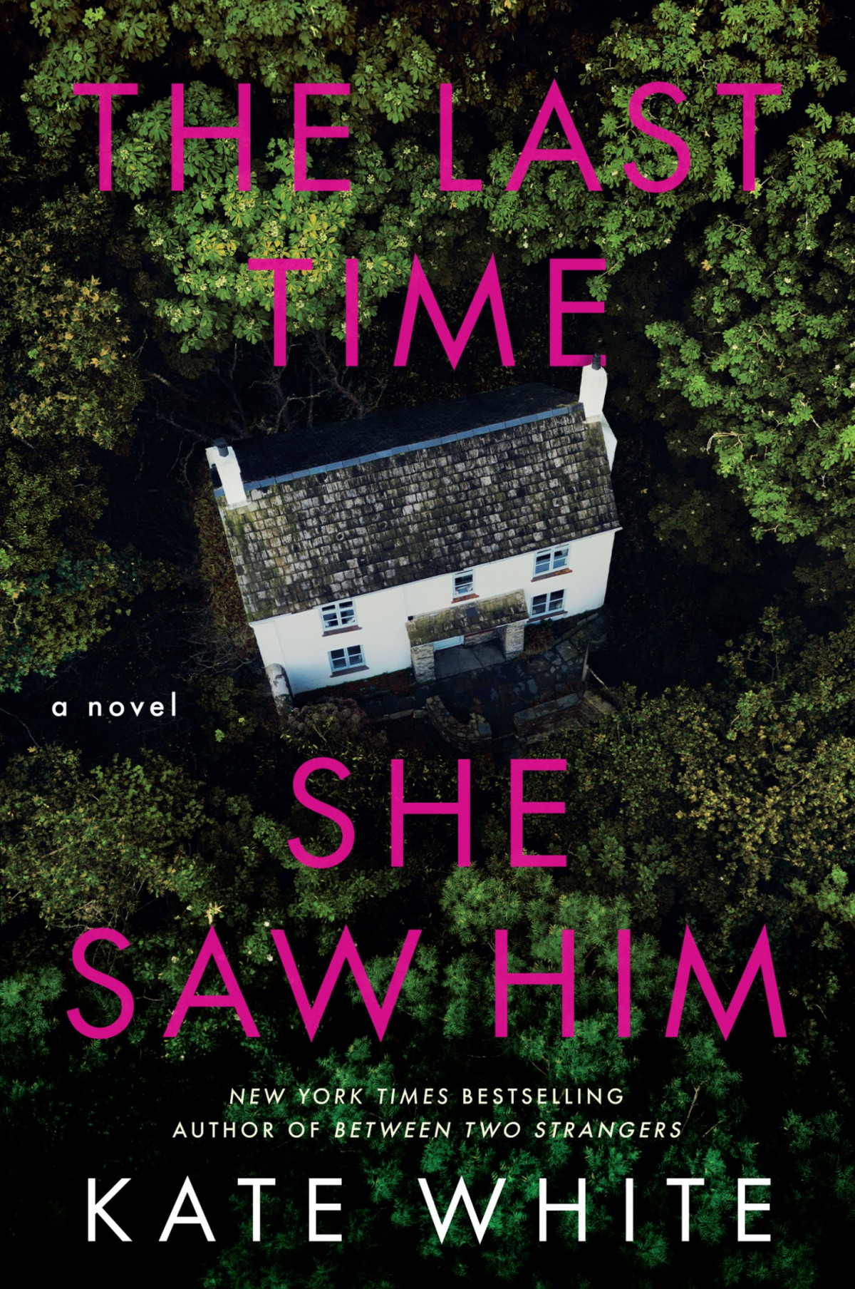 The Last Time She Saw Him Kate White
