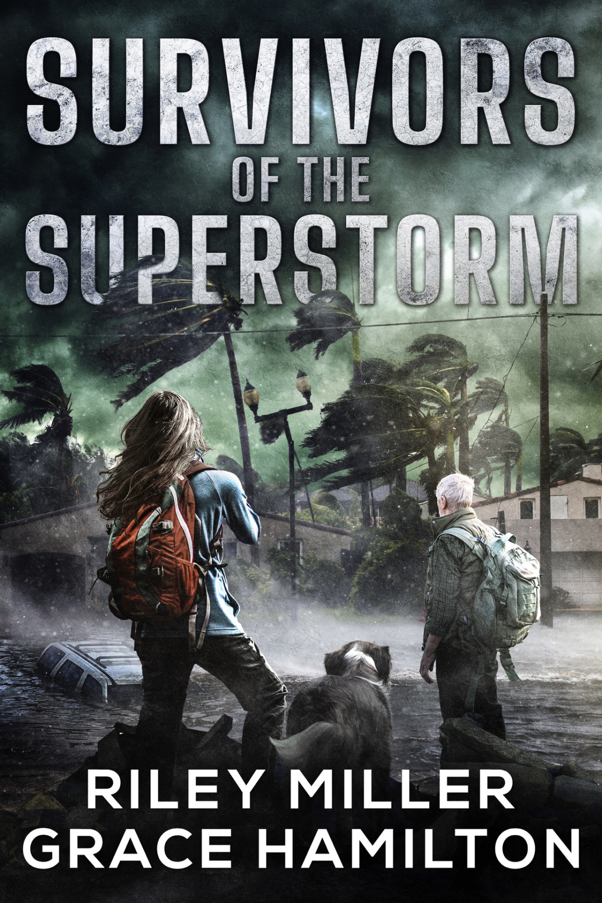 Survivors Of The Superstorm Huge Postapocalyptic Disaster Saga With 1000 Pages Of An American Family Surviving A Worldchanging Storm Riley Miller Grace Hamilton