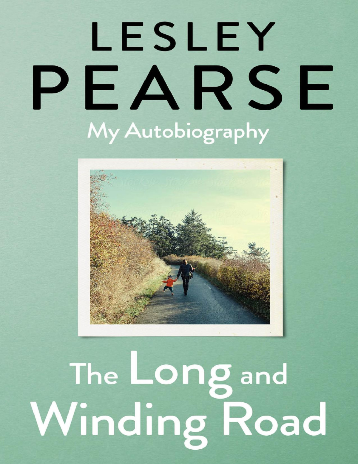 The Long And Winding Road Lesley Pearse