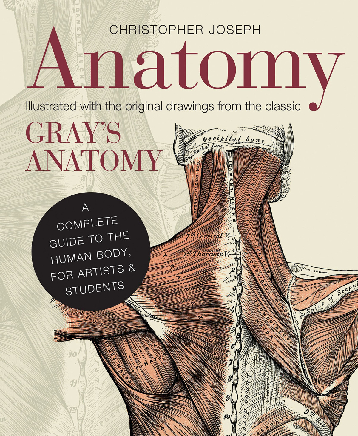Anatomy A Complete Guide To The Human Body For Artists Students Illustrated Christopher Joseph