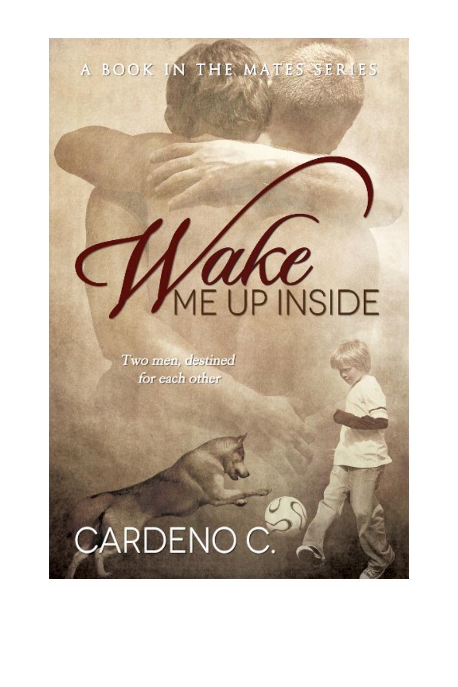 Wake Me Up Inside C Cardeno