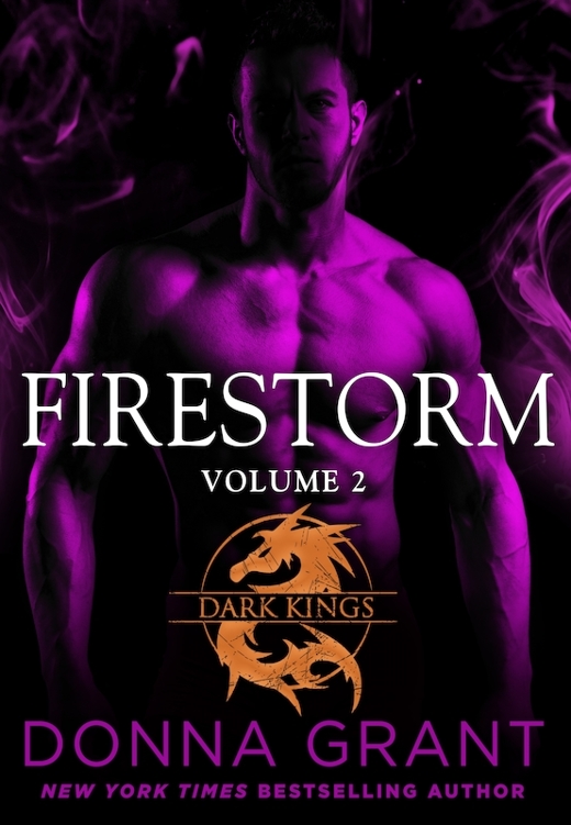 Firestorm Volume 2 Donna Grant
