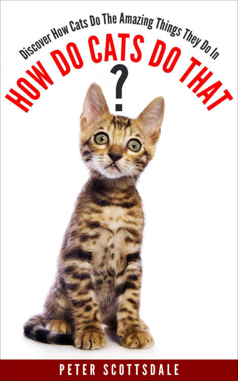 How Do Cats Do That How Why Do Cats Do That 1 1st Edition Peter Scottsdale