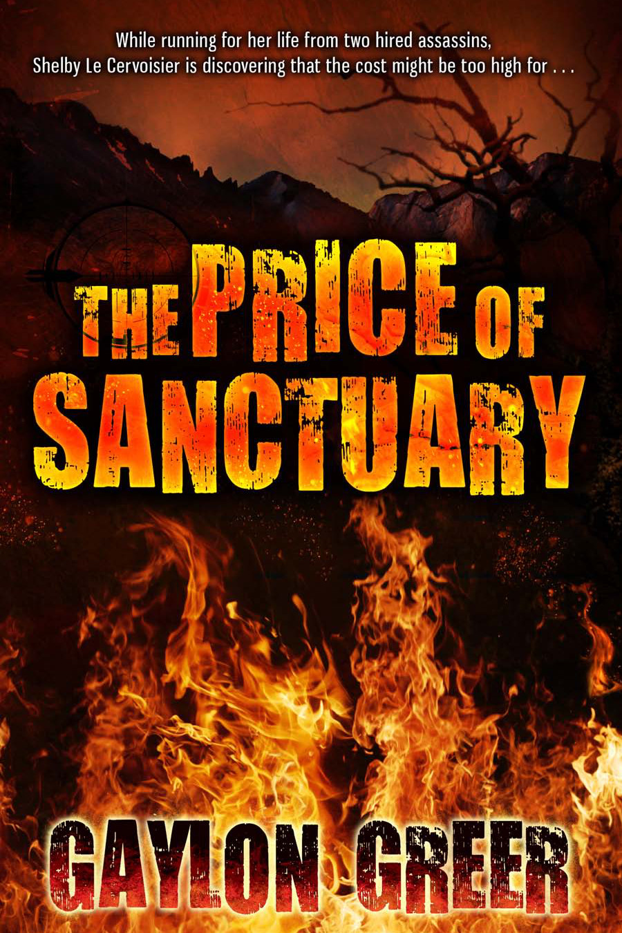 The Price Of Sanctuary Greer Gaylon