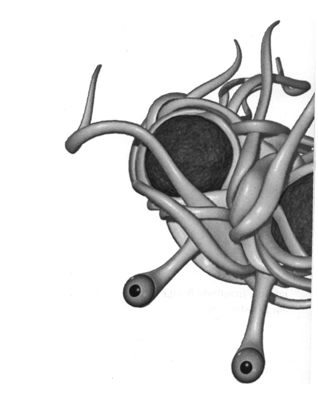 The Gospel Of The Flying Spaghetti Monster Henderson Bobby