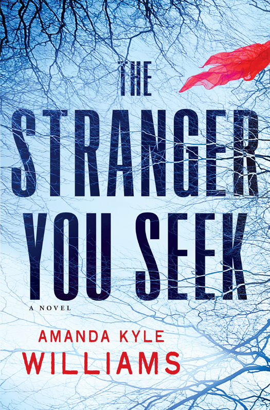 The Stranger You Seek Williams Amanda Kyle