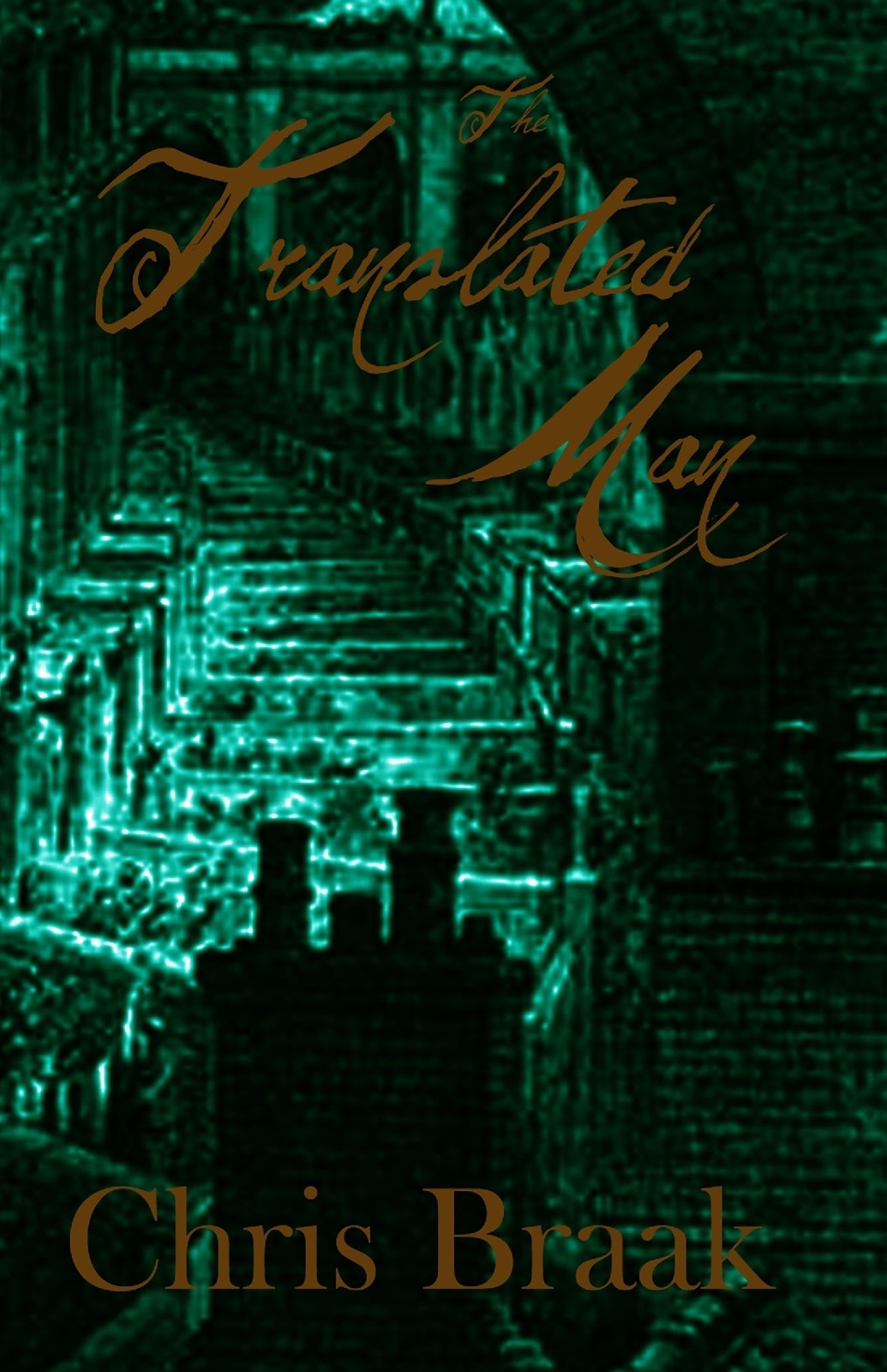 The Translated Man And Other Stories Braak Chris