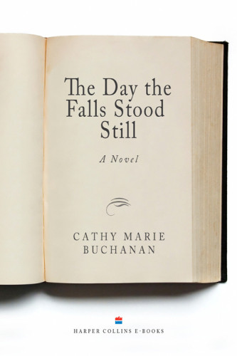 The Day The Falls Stood Still Buchanan Cathy Marie