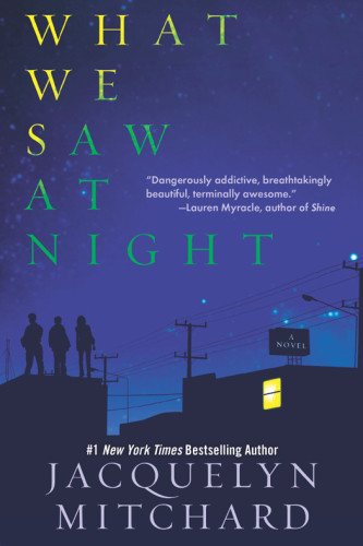 What We Saw At Night Mitchard Jacquelyn