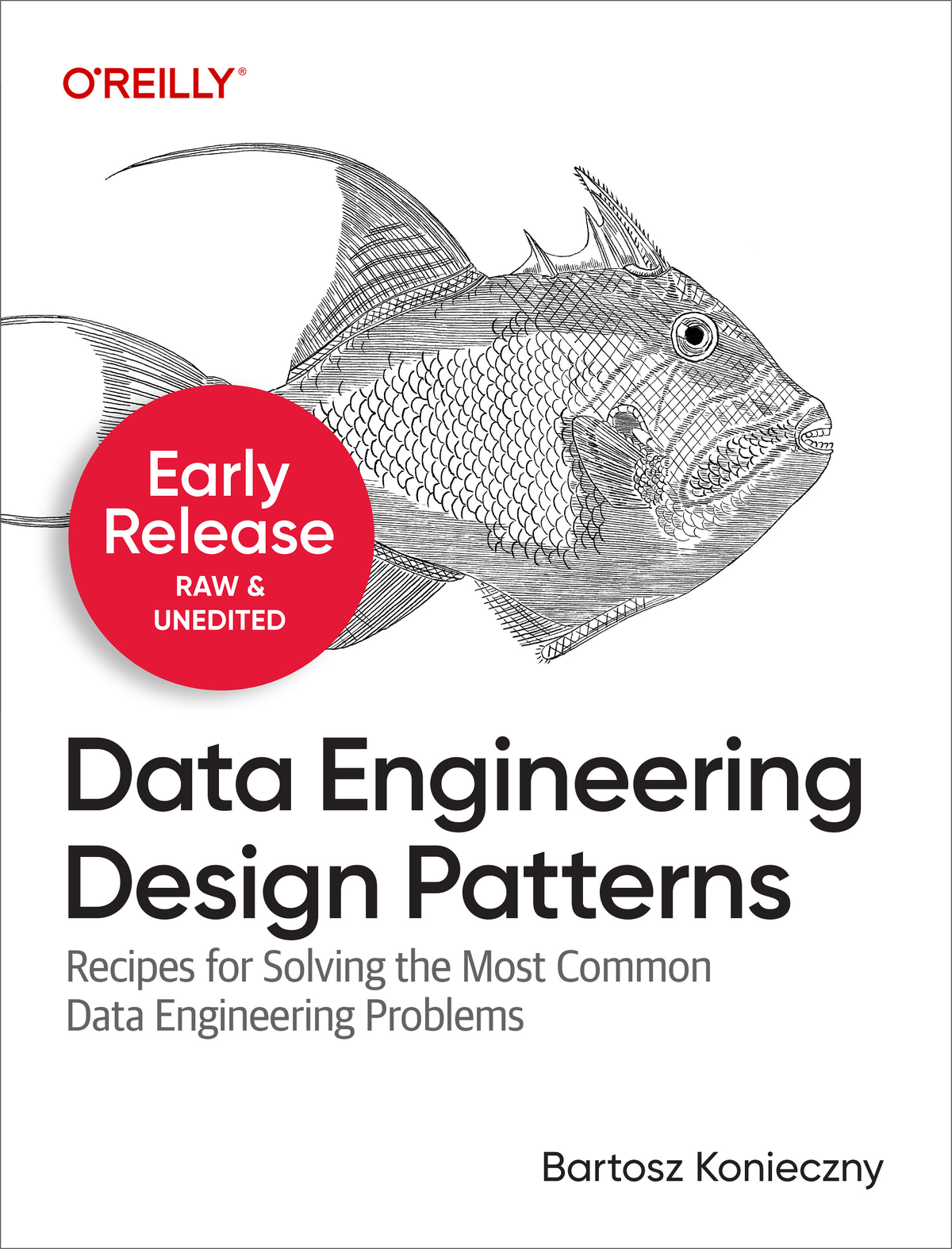 Data Engineering Design Patterns Recipes For Solving The Most Common Data Engineering Problems 3rd Early Release Brent Laster And Eran Yahav