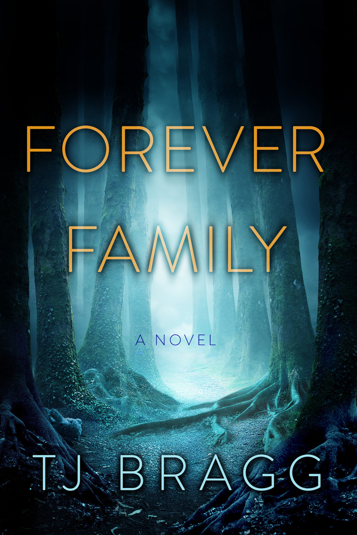 Forever Family A Novel Tj Bragg