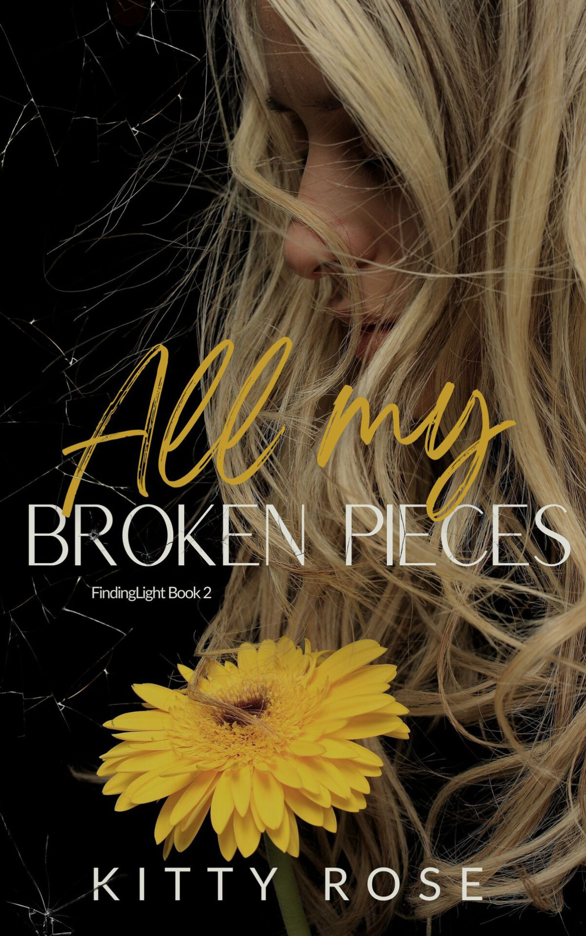 All My Broken Pieces Findinglight Book 2 Kitty Rose