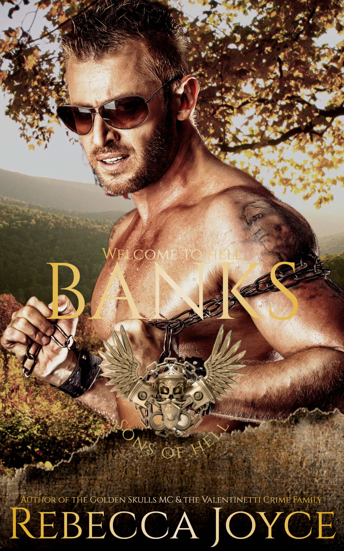 Banks Sons Of Hell Mc Rebecca Joyce