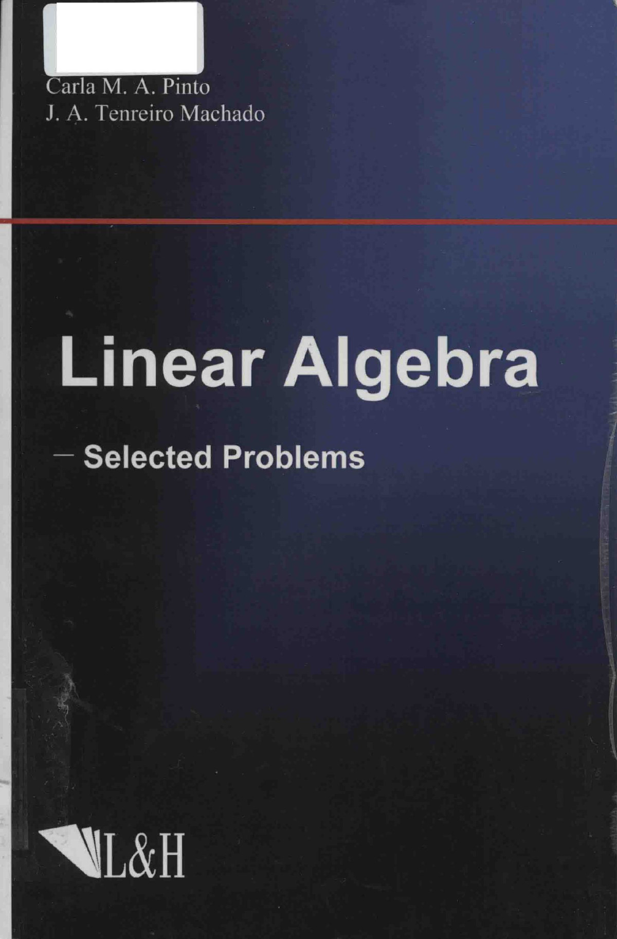 Linear Algebra Selected Problems 2014th Edition Carla M A Pinto