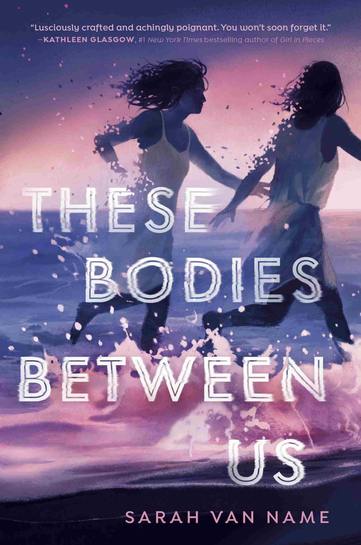 These Bodies Between Us Sarah Van Name