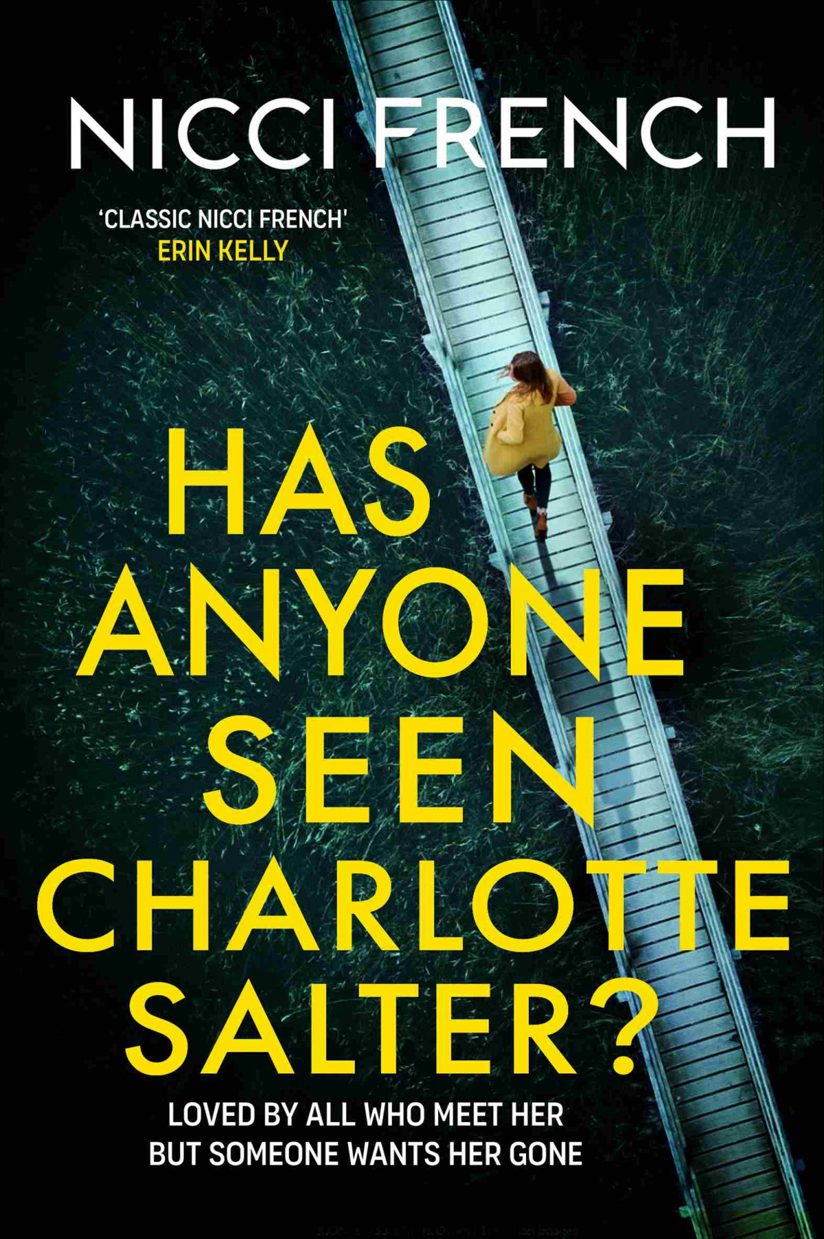 Has Anyone Seen Charlotte Salter The Unputdownable Erin Kelly New Thriller From The Bestselling Author Of Psychological Suspense Nicci French